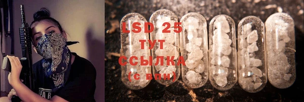 ECSTASY Белокуриха